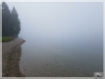 Morgennebel über dem Plansee Morgennebel über dem Plansee