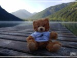 Tauchgirls Süddeutschland Treffen 2021 am Plansee