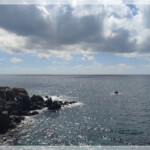 Ischia