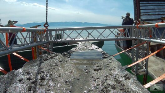 Bergung des Einbaums Bergung des Einbaums, Wasserburg, Bodensee, Deutschland